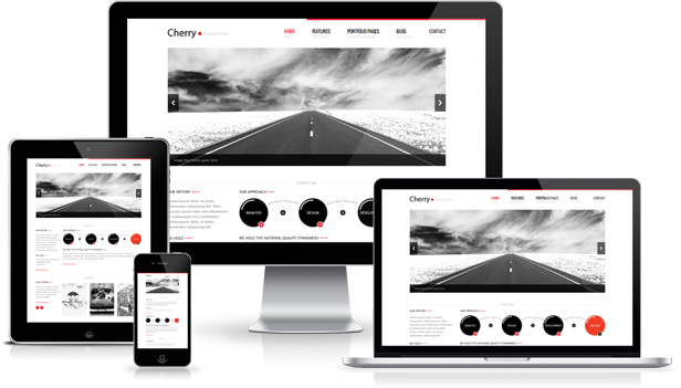 Responsive Website